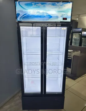 Roch Display Display Fridge ( Double Door Fridge)