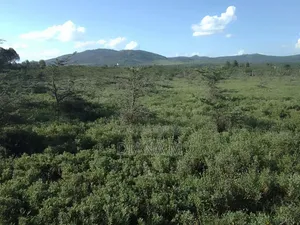 Prime 3 Acres for Sale in Nanyuki