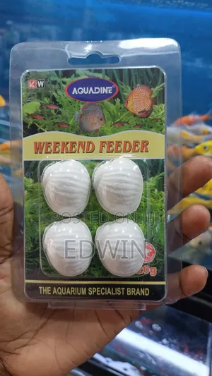 Weekend Feeder