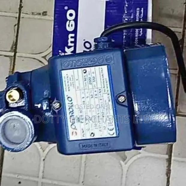 Portable Pedrollo Surface Water Pump - main view