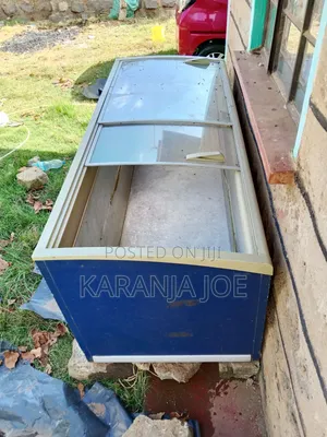 Commercial Chest Freezer