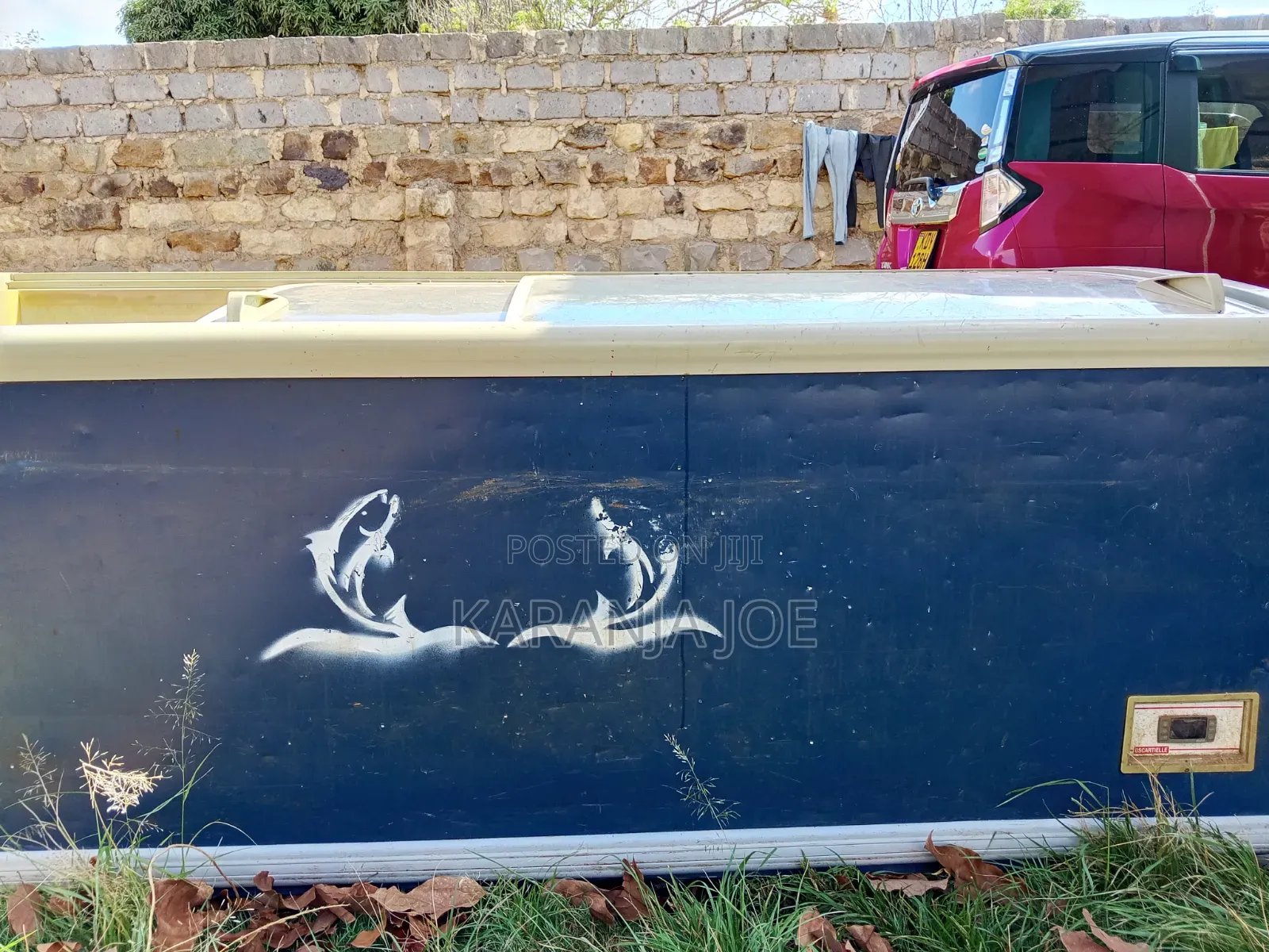 Commercial Chest Freezer
