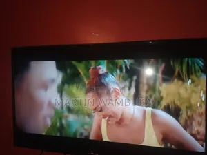 40 Inch Skyview