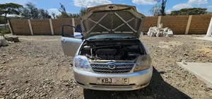 Toyota Corolla Fielder 2003 Gray