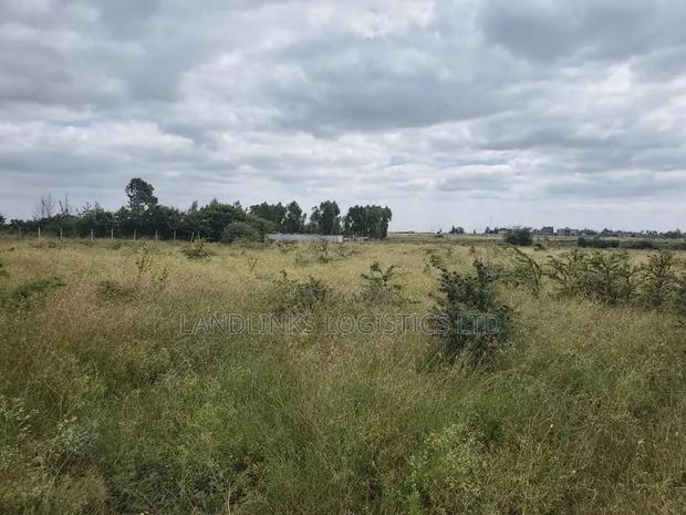 Lease Plot Syokimau Quarry Rd 50 by 100 - thumbnail 5