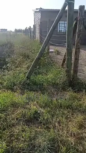 50*100 Plot in Kisaju Kitengela