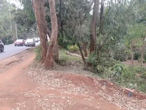 Kiambu Rd, Muthaiga Golf Club 2 Acres With Perimeter Wall 4 Mall/ Gas