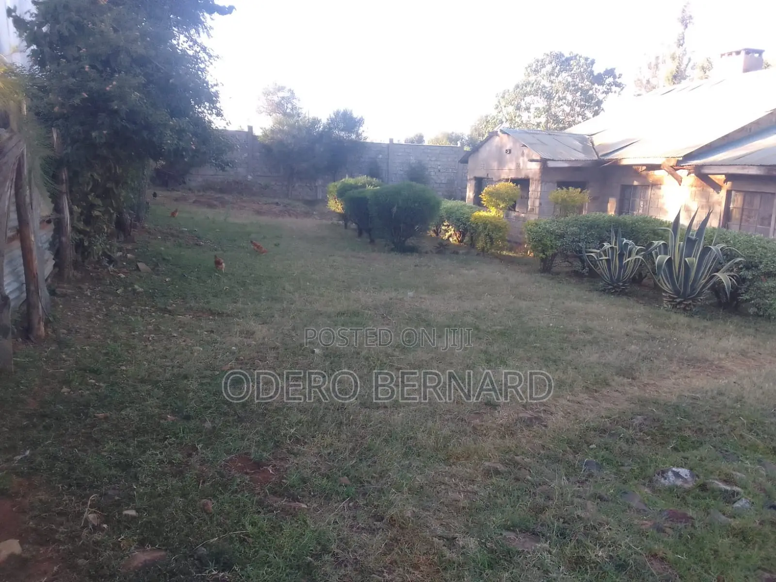 Property on Sale