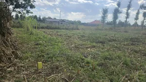 Nakiru 50/100 Plots in Mangu Mastoi