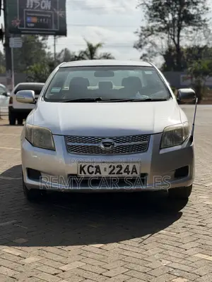 Toyota Axio 2007 Silver