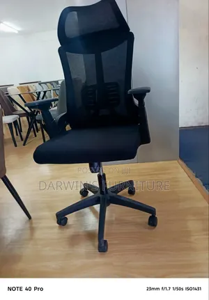 Orthopedic Office Chair