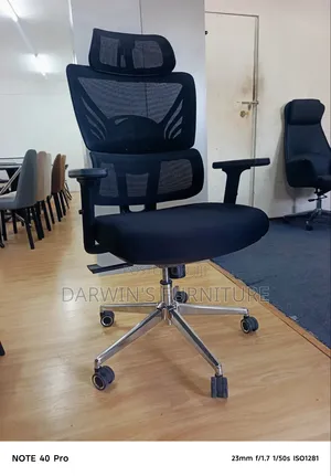 Orthopedic Office Chair