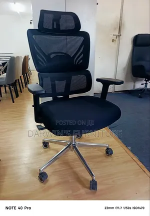 Orthopedic Office Chair