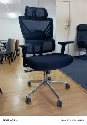 Ergonomic Chair