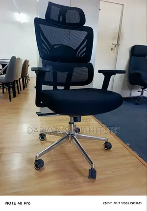 Ergonomic Chair