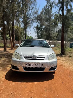 Toyota Allex 2007 Silver