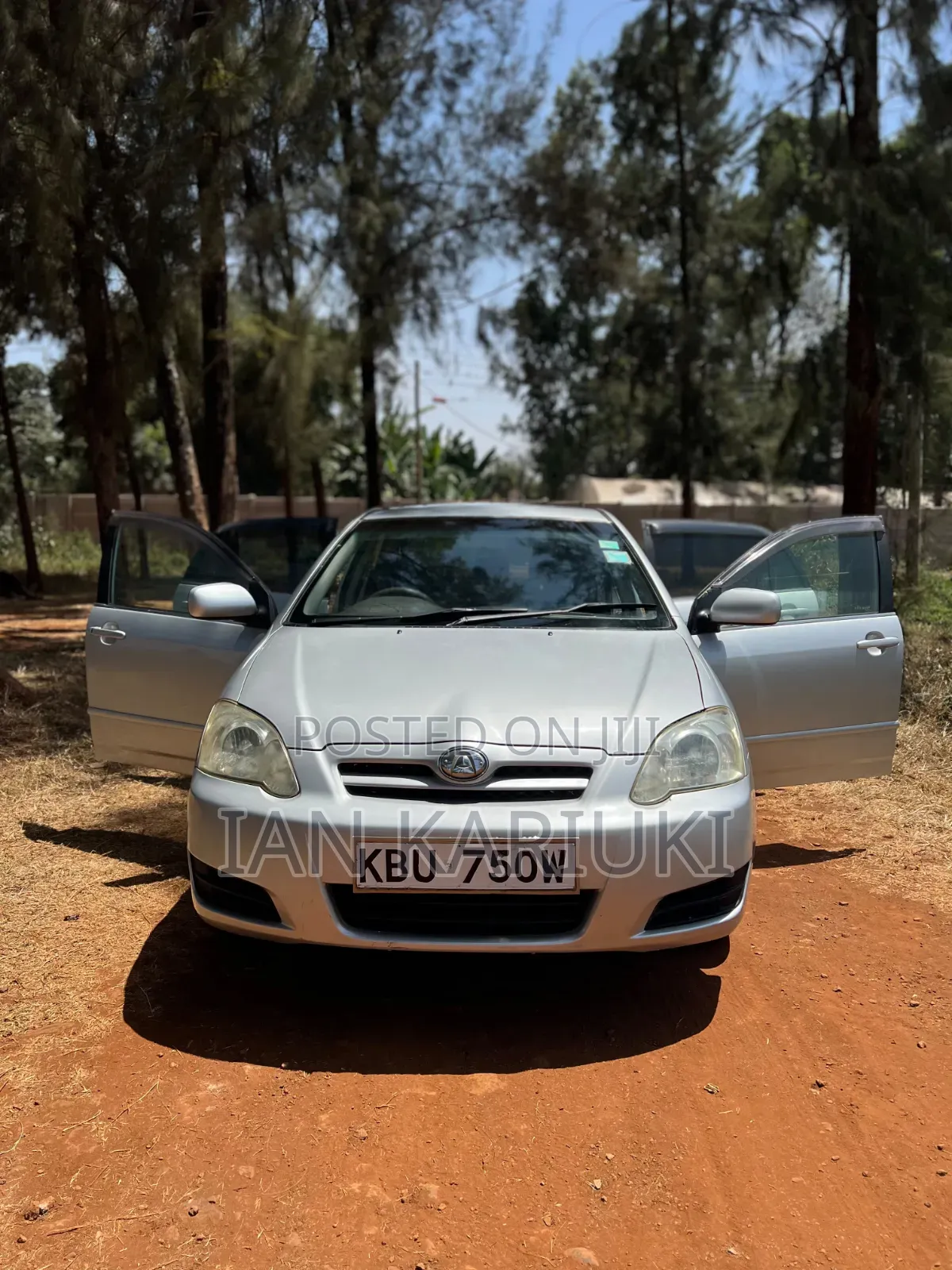 Toyota Allex 2007 Silver