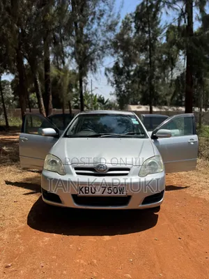 Toyota Allex 2007 Silver