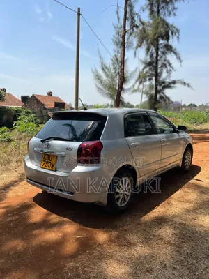 Toyota Allex 2007 Silver
