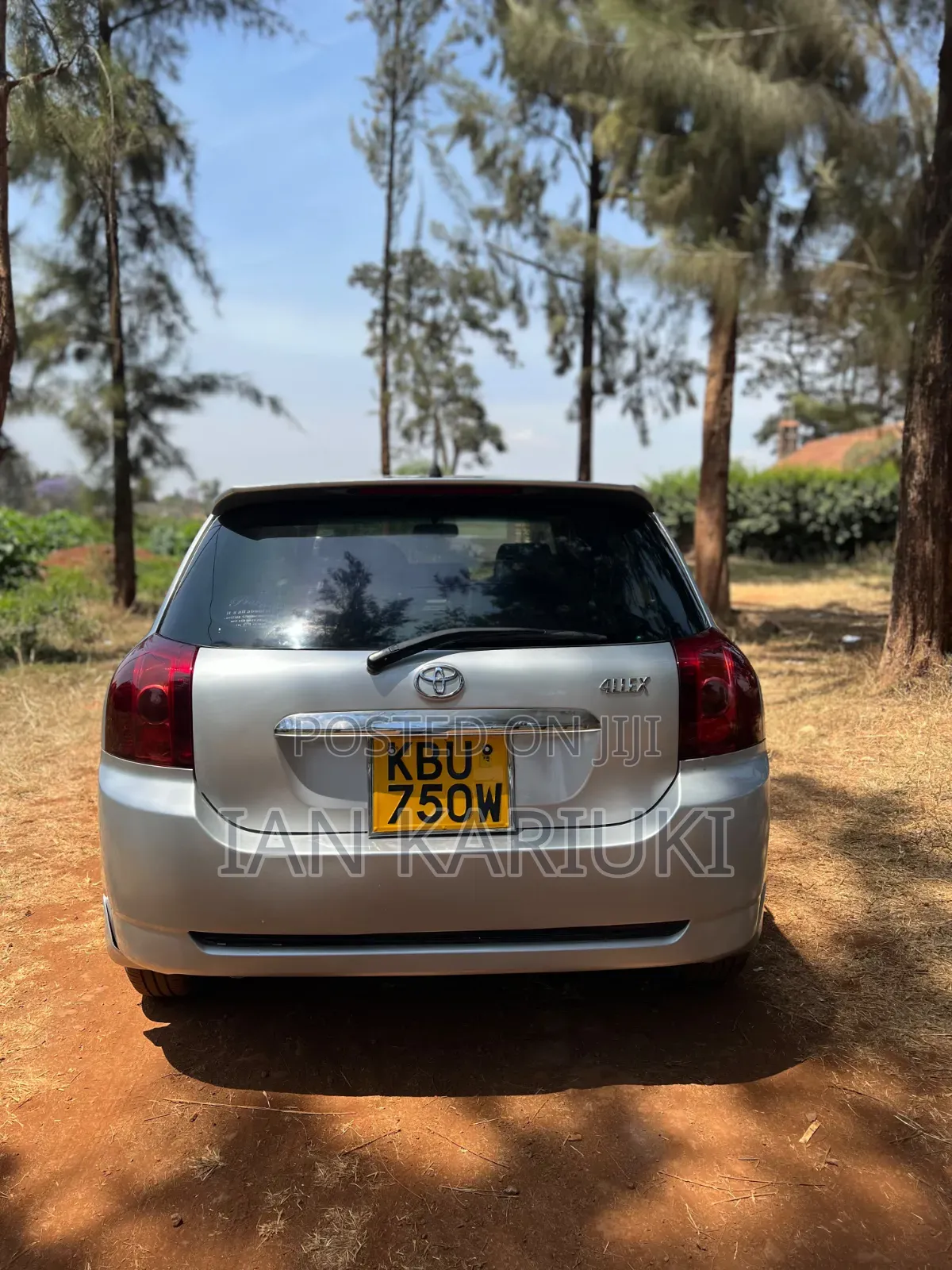 Toyota Allex 2007 Silver