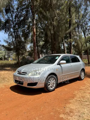 Toyota Allex 2007 Silver