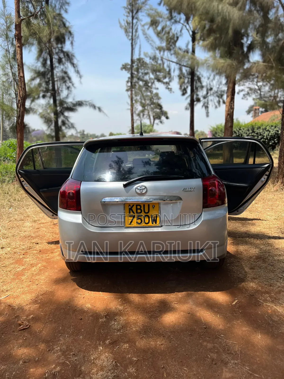 Toyota Allex 2007 Silver
