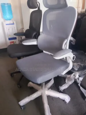 Ortheats Seats