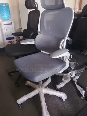 Ortheats Seats