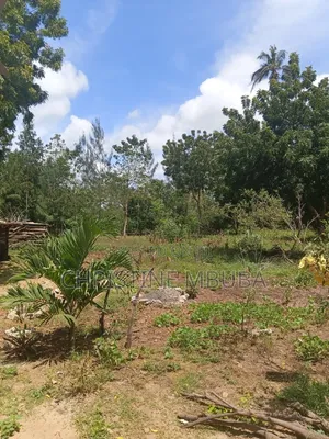 Lands and Properties