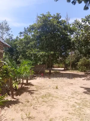Lands and Properties