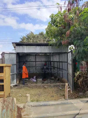 Welding Experts