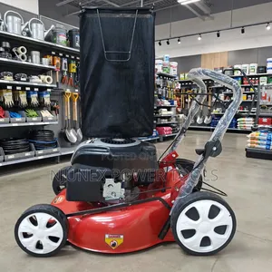 Red 173cc 4-Stroke Gasoline Lawn Mower