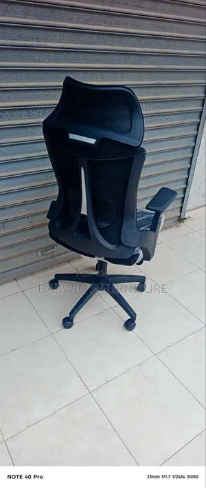Ergonomic Chair