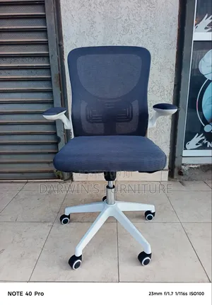 Orthopedic Office Chair