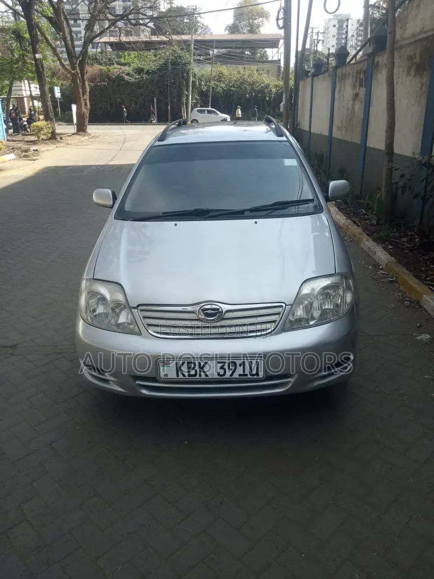 Toyota Corolla Fielder 2003 Silver