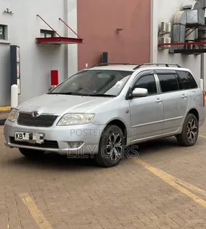 Toyota Corolla Fielder 2006 Silver