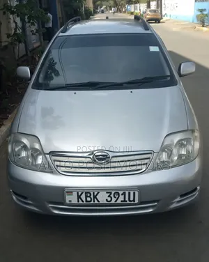 Toyota Corolla Fielder 2003 Silver