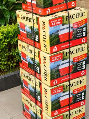  at 1349- Pacific Cooler Box 4.5L Durable Ice Cool Chest