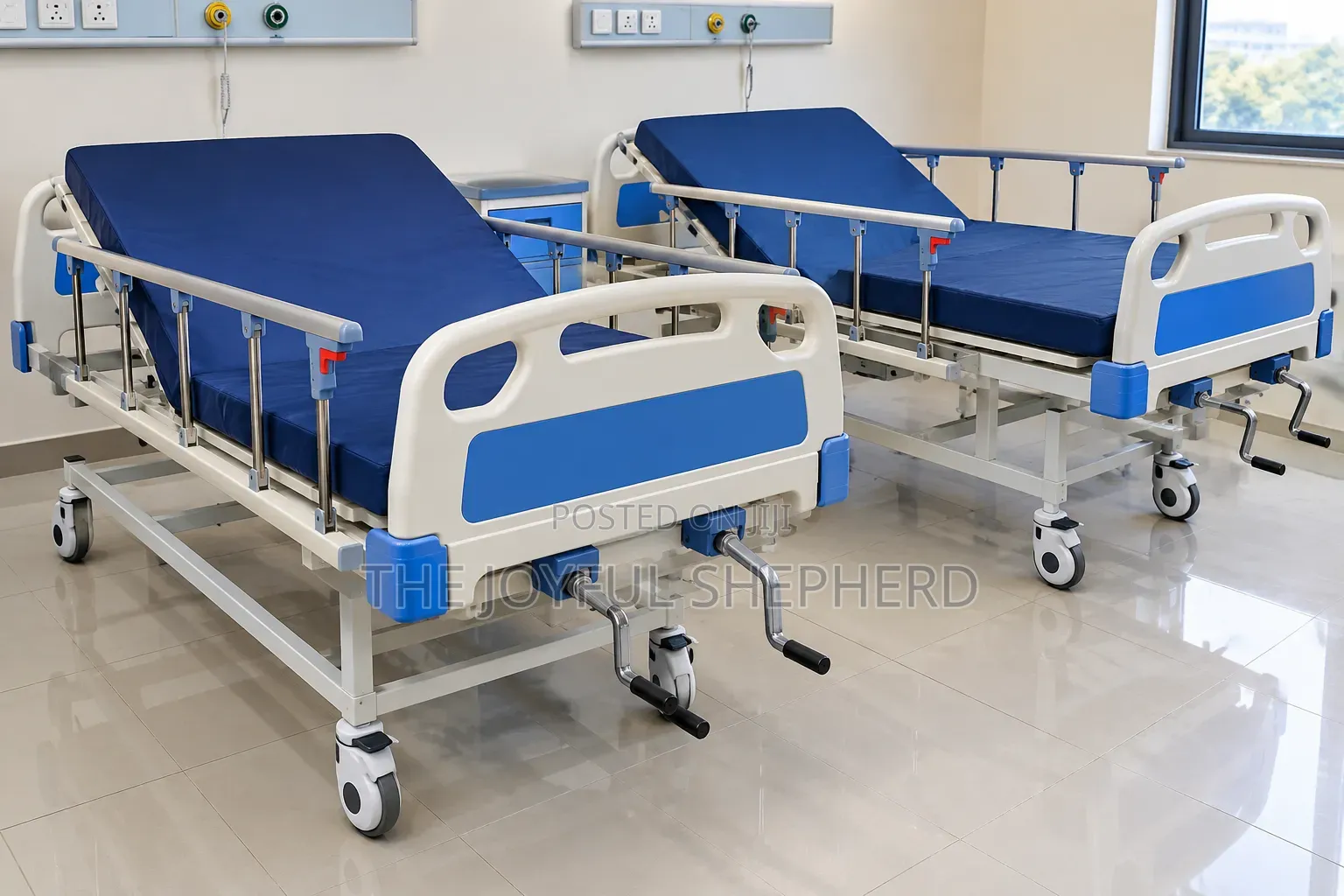 Double Crank Bed