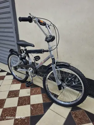Original Taiwan Bicycle Size 20
