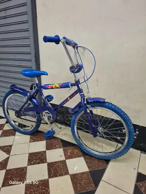 Original Taiwan Bicycle Size 20