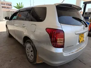 Toyota Corolla Fielder 2008 Silver