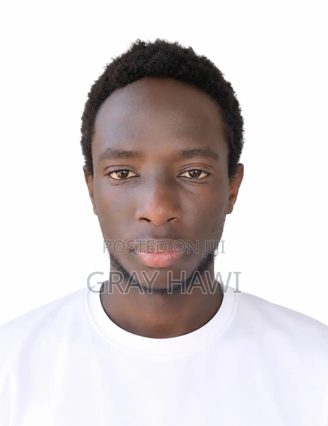 Junior Full Stack Engineer