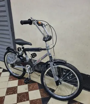 Original Taiwan Bicycle Size 20 – Sm