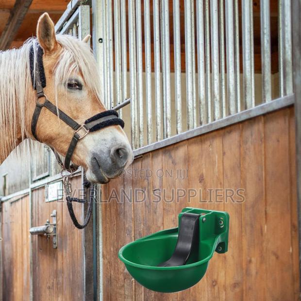 Plastic Cow/Horse Drinker - Pipe Mountable Drinker - main view