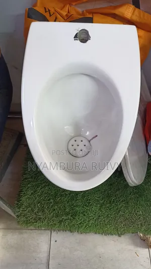 Urinal Bowl