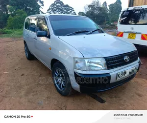 Toyota Probox 1.5 DX 2WD 2010 Silver
