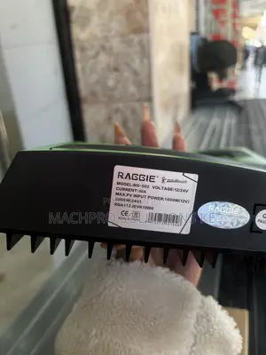 60a RAGGIE Solar Charge Controller