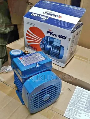 Pedrollo Water Pump 0.5hp 30 Height