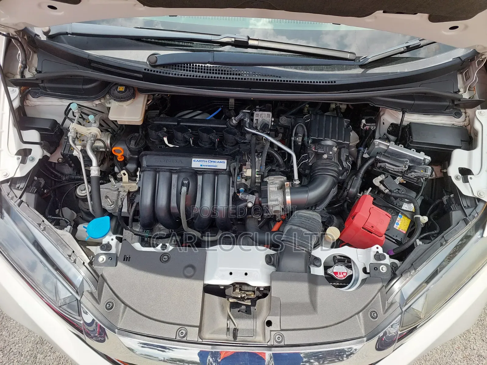 Honda Fit Shuttle 2019 Pearl